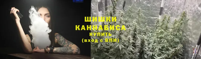 Марихуана OG Kush  где купить   Лосино-Петровский 